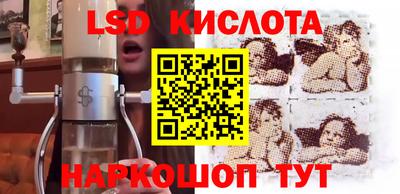 прущие грибы Будённовск
