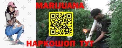 прущие грибы Будённовск