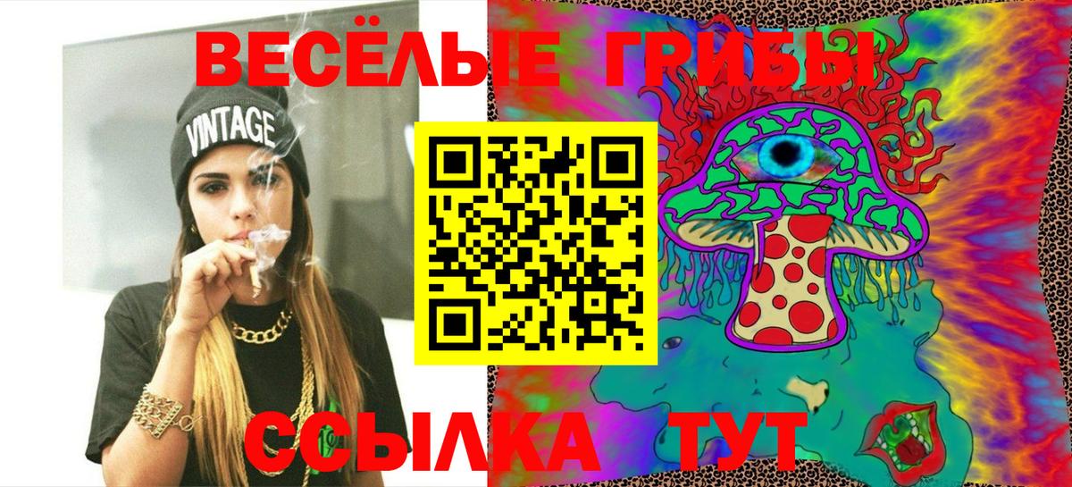 Тюмень  Галлюциногенные грибы GOLDEN TEACHER  Вход с VPN 