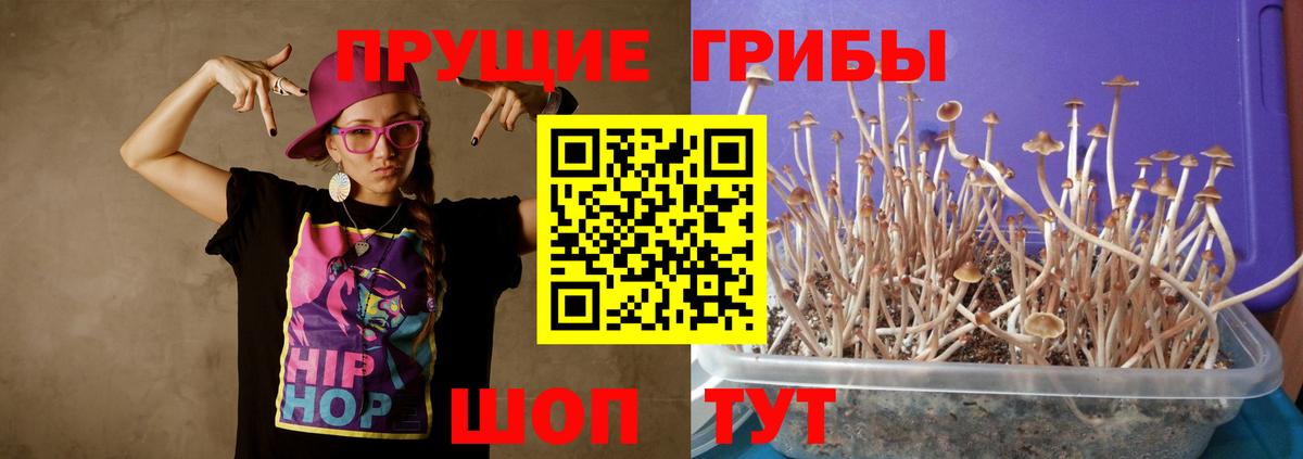 Галлюциногенные грибы ЛСД Тюмень